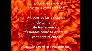 Las Persianas Café Tacvba Karaoke