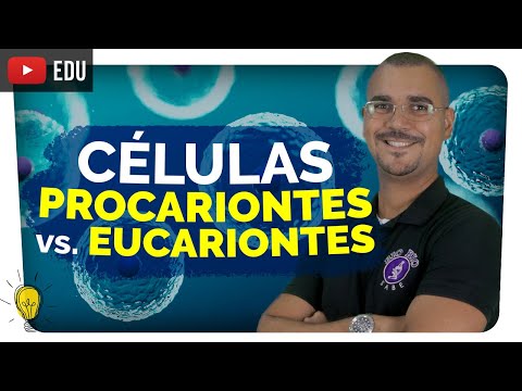 Células Procariontes vs. Eucariontes: Qual a Diferença? | O Problema da Automedicação | Biologia