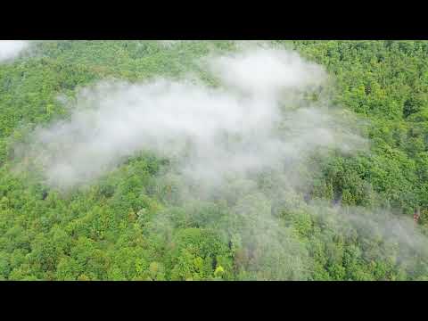 Pensiunea Poiana Marului - imprejurimi