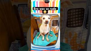 My Dog Charged Me $1 Million for Ice Cream 🍦😂 #dogshorts #funnydog #comedyshorts