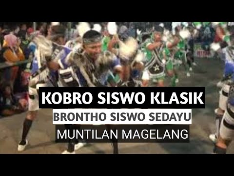 download lagu mp3 mp4 Kobro, download lagu Kobro gratis, unduh video klip Kobro