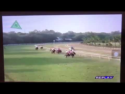 The Bangalore Turf Club Cup 1200M.       SHAN E AZEEM   jockey.  Angad 🏆🏆🥇🏆🥇🏆