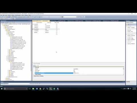 Microsoft SQL Server Management Studio Part 9 - Add and Drop Constraints INSERT Data