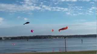 preview picture of video 'The Giant Kites of Gift of Wings Flying at Lake Lawn Resort in Delavan'