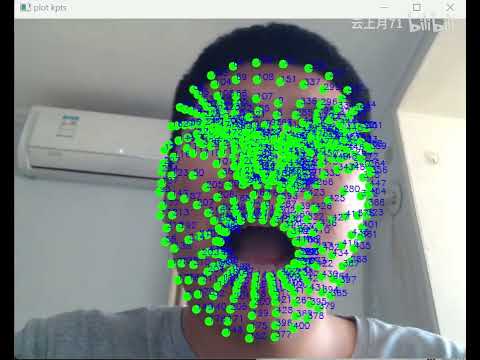 2d face landmark detection realtime