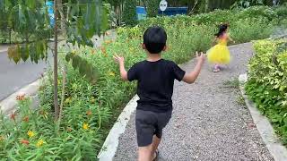 ดงผีเสื้อ