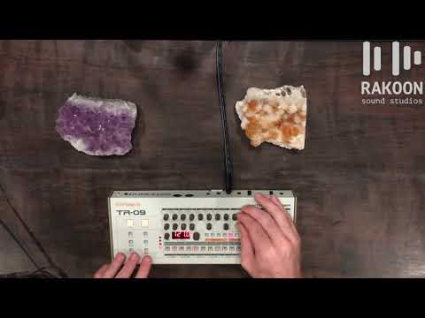 909 Day Special - Roland TR-09 Review and Tutorial (Rakoon Sound Studios Tips and Tricks)