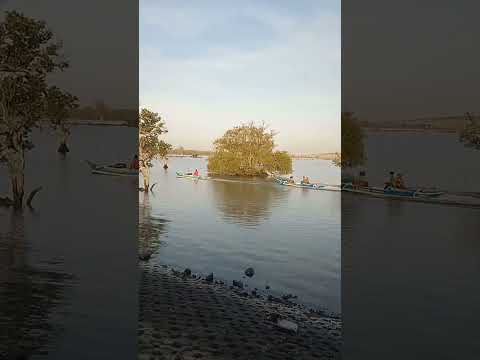 #travel #trending #trendingshorts #travelvlog #nature