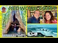 https://www.youtube.com/watch?v=CmaE5G_cfDU