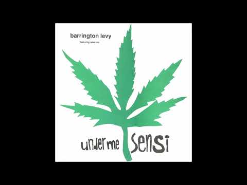 Barrington Levy feat. Rebel MC - Under Me Sensi (Ganja Plane Mix)