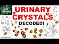 Practical Pathology:  Examination of urine sediment- URINARY CRYSTALS