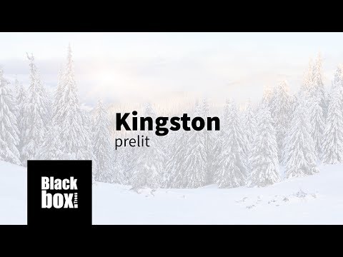 Black Box Kingston Lights kunstkerstboom 185 cm