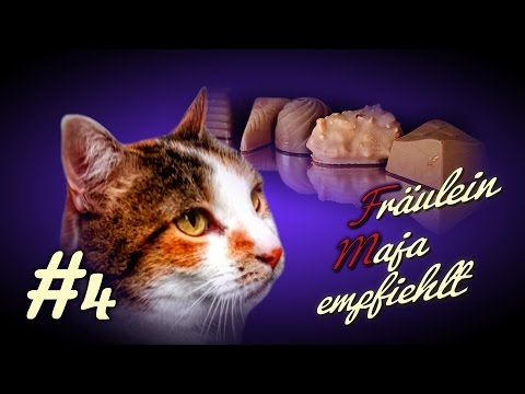 Naschkatzen 1 x 1, 10 gefährliche Dinge für Katzen die ihr noch nicht kennt. Maja empfiehlt Teil 4