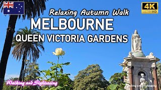 Queen Victoria Gardens Melbourne Autumn Walk ๐๐ถ Relaxing Music & Natural Sounds | Possum Sighting ๐พ