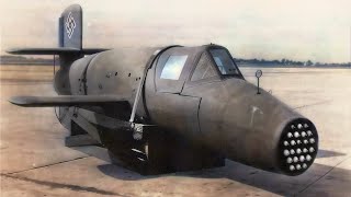 Viper &amp; Nazi Nightmares: Weirdest Weapons of WWII That Were Later Widely Adopted