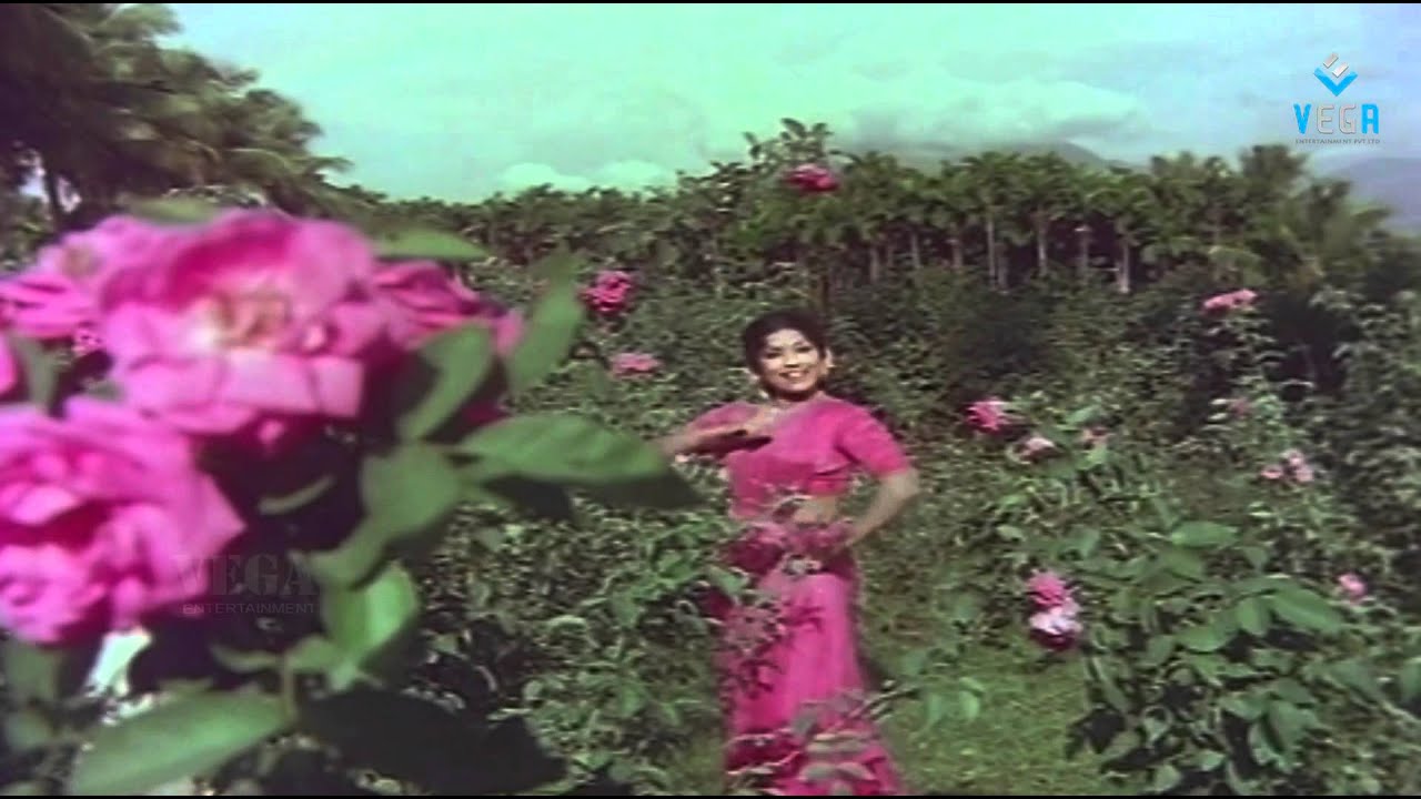 Dhagam Theernthathadi Song Lyrics | Aattukara Alamelu | T. M. Soundarajan, P. Susheela