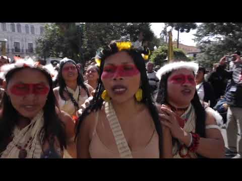 Rađanje zemlje - Urođena mudrost - Ponedjeljak 17:05