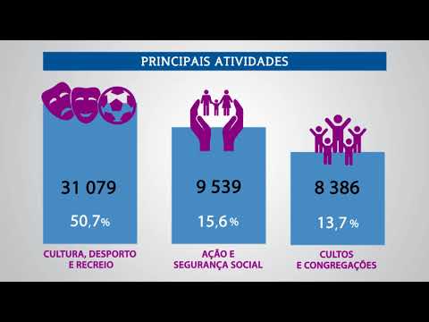 Economia Social em números: Contas do INE