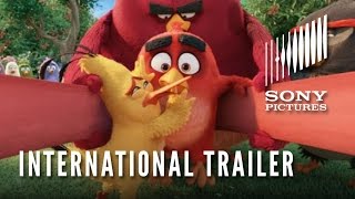 Video trailer för The Angry Birds Movie