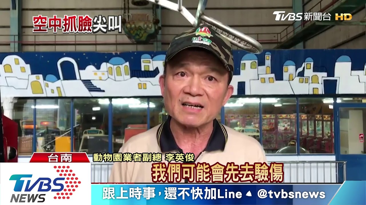 玩遊戲器材甩出3隻貓 遊客嚇得尖叫連連
