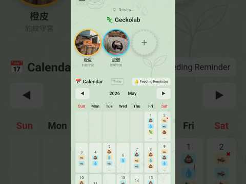 Geckolab - Gecko's companion