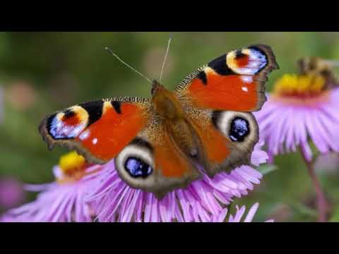 gestorben ist noch lange nicht tod ausschnitt