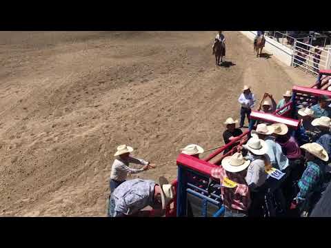 Vinny Saddle Bronc NCJRA 2021 Oakdale