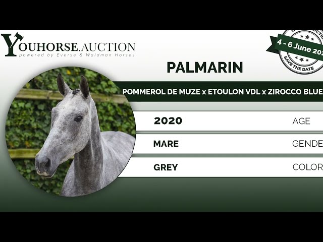 Palmarin