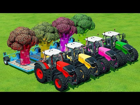 LOAD & TRANSPORT GIANT BROCCOLI WITH FENDT TRACTORS - Farming Simulator 22