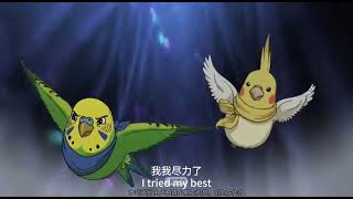 鹦鹉作战队集结