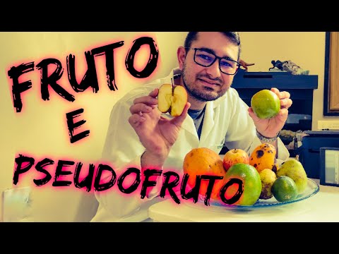 Fruto e Pseudofruto