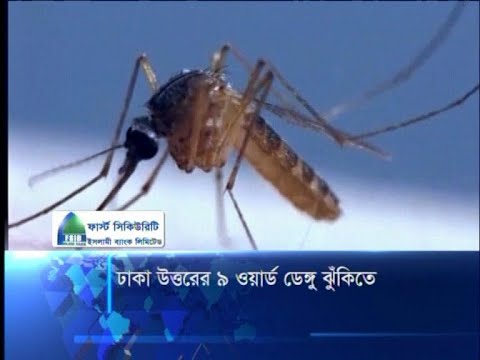 ঢাকা উত্তরের ৯ ওয়ার্ডে ডেঙ্গু ঝুঁকি