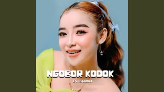 Download lagu Ngobor kodok mp3