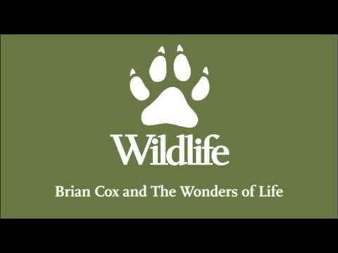 Wildlife Podcast: Brian Cox and The Wonders of Life
