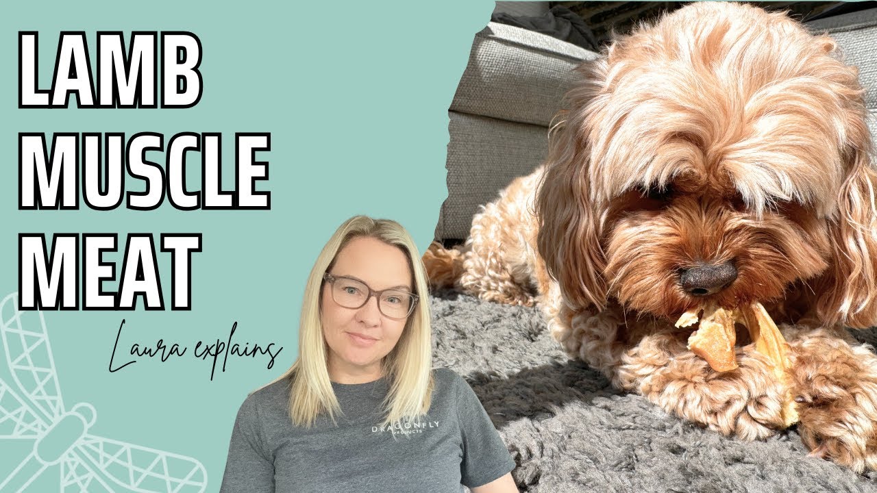 The Benefits of Lamb Muscle Meat for Dogs | Video