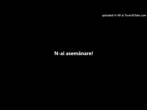 Pastean Vasile - N-ai asemănare!