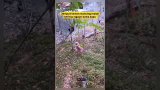 Download lagu Jemput temen mancing, malah dikejar sama istrinya #shorts #comedy #lucu #ngakak #viral mp3 Download lagu Jemput temen mancing, malah dikejar sama istrinya #shorts #comedy #lucu #ngakak #viral mp3