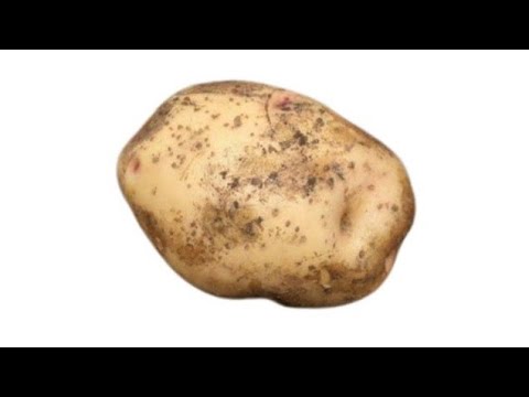 How To Rotate a Potato
