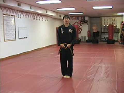 Kuk Sool Won's Kyuk Pah Form demonstrated by Huy Pham