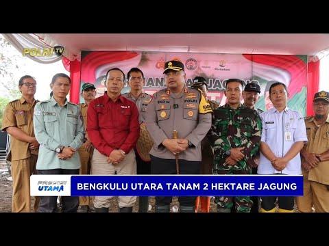 KAPOLRES BENGKULU UTARA PIMPIN PENANAMAN JAGUNG DI LAHAN SELUAS 2 HEKTARE