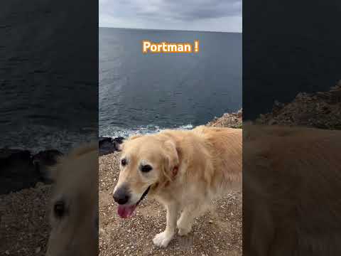 La Bahía de Portmán como nunca la has visto 😱🌊 #shorts