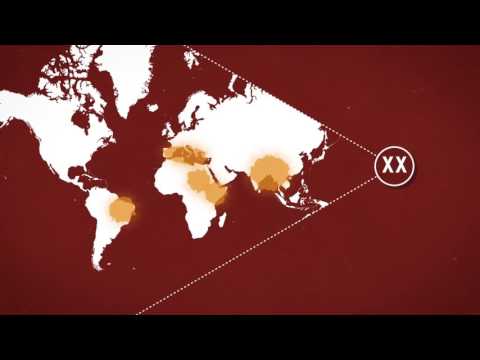 protozoan paraziták leishmaniasis opisthorchiasis és giardiasis jelei