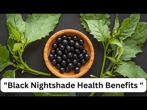 "Black Nightshade Health Benefits | Detox, Immunity & Healing Power"