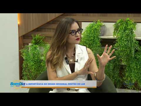 O Dia TV
