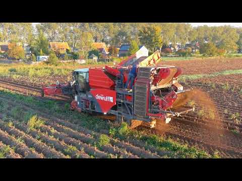 Unleashing the Beast: De Wulf RA3060 Potato Harvester in Action!