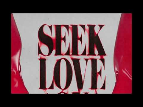 ALOK, TAZI, SAMUELE SARTINI feat. AMANDA WILSON & YORK - Seek Love (On The Beach)  (Acapella)
