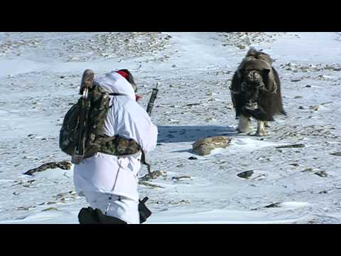 Tom Miranda's Archery Super Slam: Adventure Bowhunter