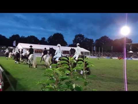 Ostseequadrille auf der WM in Verden 2013 Video 2 von 2