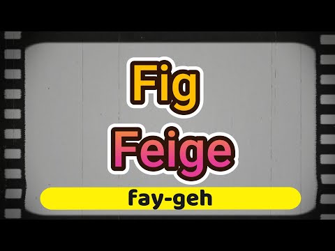 How to say " Fig " in German - Pronounce " Feige " Perfectly!