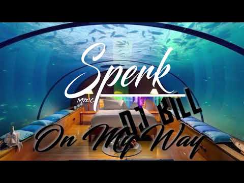 DJ BILL Ft NAPSTER   ON MY WAY FIJI RMX [OAVib3z]